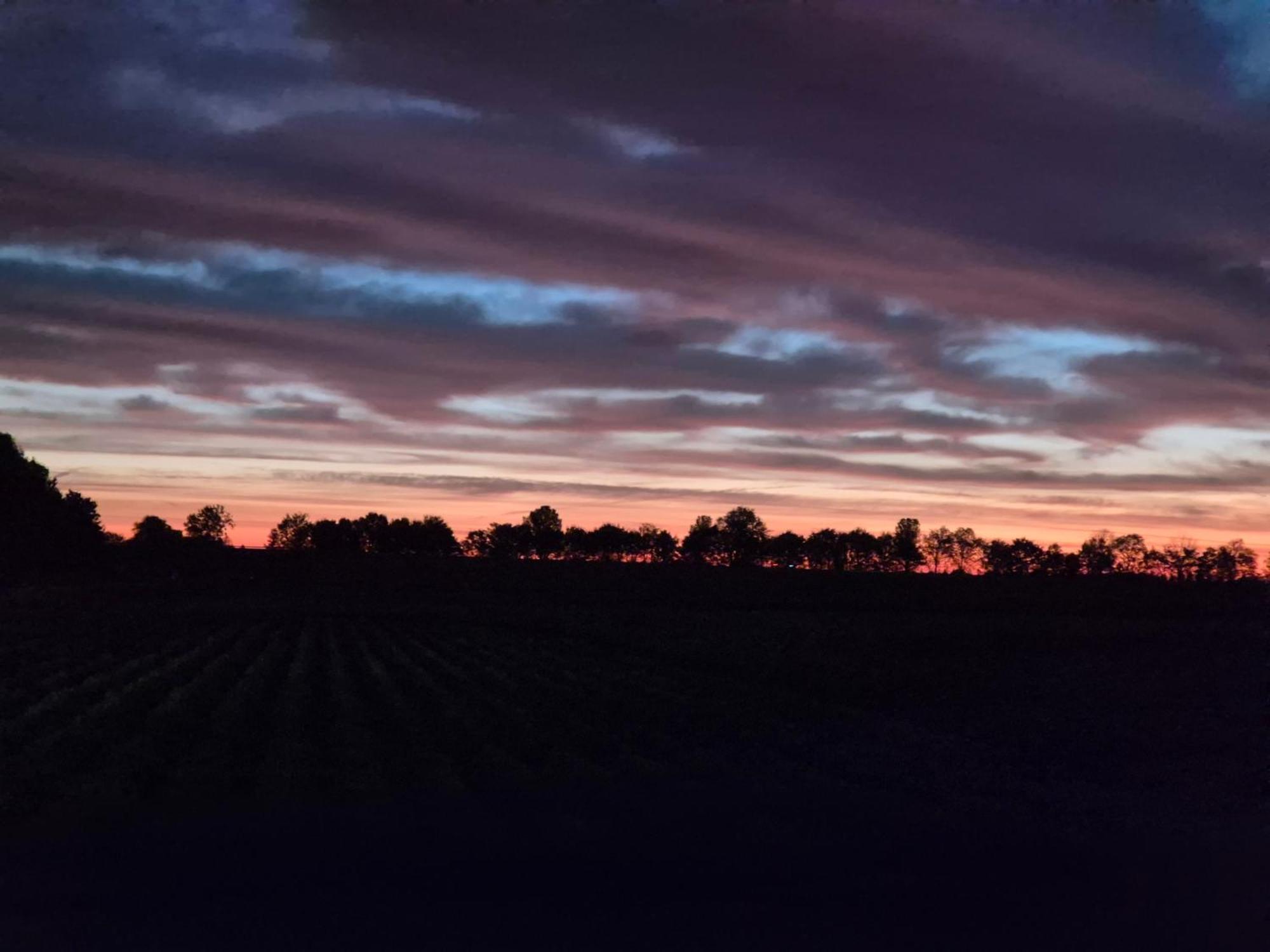 Slapen Aan De Voet Van De Molen Ovezande Exterior foto