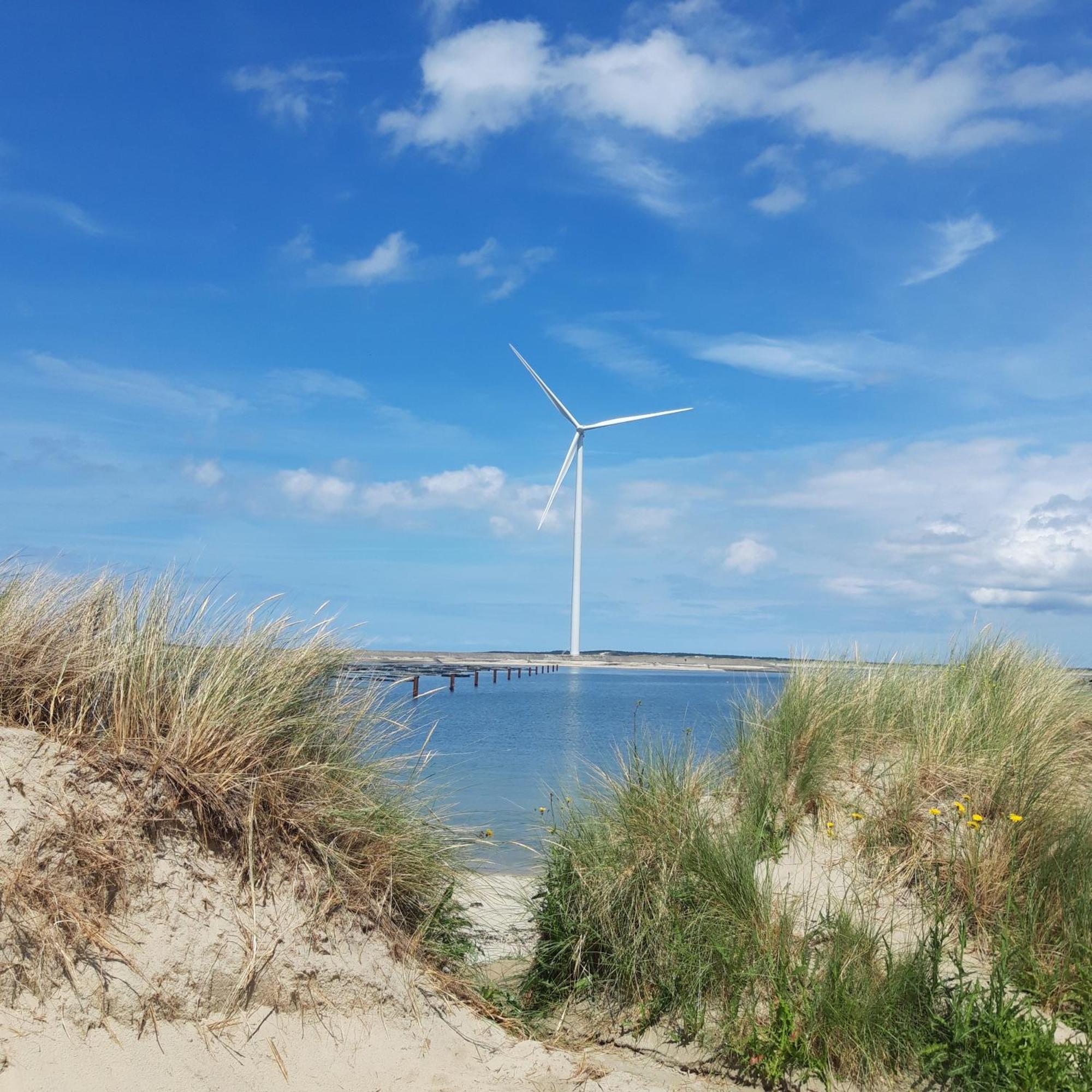 Slapen Aan De Voet Van De Molen Ovezande Exterior foto